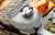 MS182 NB.png